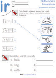 ir-controlled-vowel-worksheet